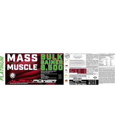 Buy Alphapower Food Maas Whey Muscle Weight Gainer 5kg - Strawberry & Creatine for Hardgainers | Protein BCAA + MCT Oil - Buy Online on GoSupps.com
