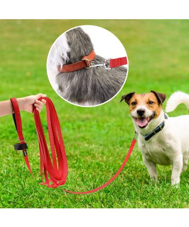 Pettom Drag Line for Dogs - Robust 6m/10m/15m Leash with Padded Handle | Durable Nylon Training Line | Perfect for Cross-Country Adventures - Buy Online on GoSupps.com