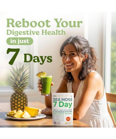 Atlantic Naturals Sea Moss 7 Day Detox Liver Gallbladder & Kidney Cleanse - Support with Dandelion Root Milk Thistle Burdock Root Red Clover Chanca Piedra - Pineapple Flavor Drink Mix (14 oz) Powdered - Urinary System - Buy Online on GoSupps.com
