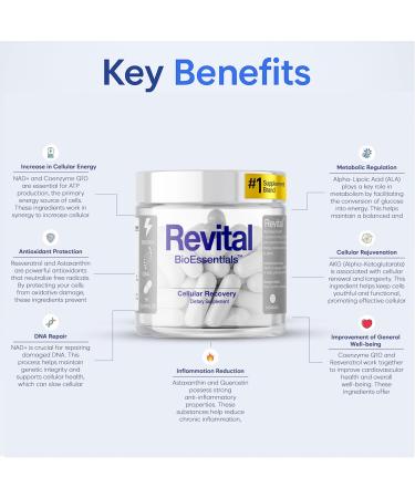 Revital Focus and Energy Supplement with NAD+ Complex Resveratrol & Shilajit Advanced Energy Supplements for Women and Men for Mental Clarity Cellular Energy & Vitality 90 Vegan Capsules - Buy Online on GoSupps.com