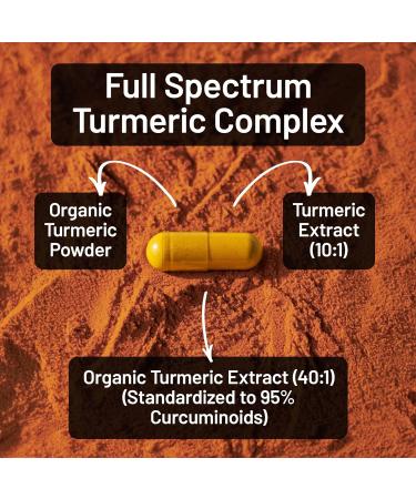NatureWise Turmeric Curcumin Complex 3200 mg with BioPerine for Absorption - Turmeric Curcumin Supplement for Antioxidant Support - Non-GMO Vegan USA Manufactured - 90 Capsules 30-Day Supply  - Buy Online on GoSupps.com