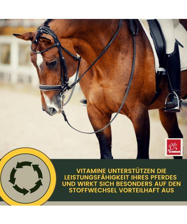 Horses Vitamins + Booster I Mineral Food for Horses Liquid I Vitamin E B Complex B12 Iron Selenium Zinc Horse I Vitamin B1 B6 Strengthen the Immune System Replenishing Food 1L 30 ml - Buy Online on GoSupps.com