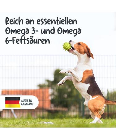 100% Green Lipped Mussel Powder for Joint Function - Very High Glycosaminoglycan Content (3.5%) - Complete Fat Quality - No Artificial Additives - Dog and Cat - 150 g - Buy Online on GoSupps.com