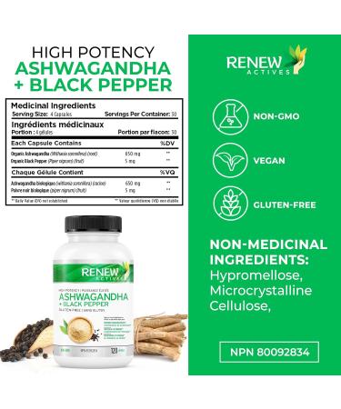 Renew Actives Organic Ashwagandha Capsules + Black Pepper for Maximum absorption - Used in Ayurveda as a Sleep Aid Memory Support Energy & Overall Wellness - Non-GMO Vegan & Gluten Free - 120 Easy-to-Swallow Capsules - Made in Canada. 120 count (Pack of 1 - Buy Online on GoSupps.com