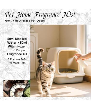 HIQILI 100ML Ylang-Ylang Essential Oil & 30ML Flowing Gold Fragrance Oil for DIY Diffuser - Buy Online on GoSupps.com