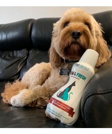 Petdentist Natural Mint GUM & FRESH Dental Water Additive Mouthwash- Oral Dental Care for Dogs & Cats Easy Plaque Off Teeth Cleaning Fresh Breath and Gum Health 500ml Bottle with Measure cap - Buy Online on GoSupps.com