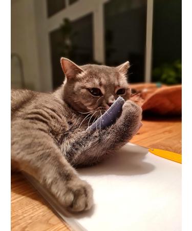 Bt Tobias Brunner Cuddly Petzen Fragrance Pillows for Cats - Catnip-Infused Comfort - Trial Size - Made in Germany - Buy Online on GoSupps.com