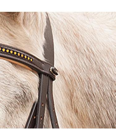 Buy Star WALDHAUSEN Bridle Diamond Brown for Warmbloods | Premium Quality Equestrian Gear Worldwide Shipping - Buy Online on GoSupps.com