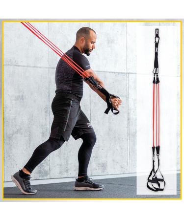 Everlast FIT Body Weight Suspension Trainer - Resistance Tubes & Anchor Strap Great for Home Gym CrossFit Pilates Fitness Full-Body Workouts Exercise & Home Gym Accessories - Buy Online on GoSupps.com