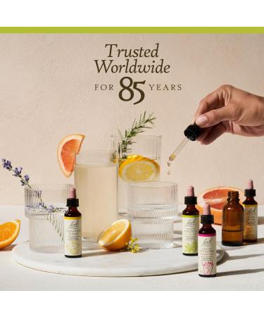 Bach Original Flower Remedies White Chestnut - Calm The Mind - Natural Homeopathic Flower Essence for Emotional Balance - Vegan Gluten Free Sugar Free - 20mL Dropper - Buy Online on GoSupps.com