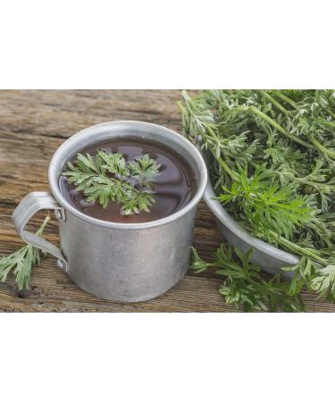  TASTY POTT Tasty Pott Organic Dried and Cut Wormwood Herb | For Food Flavoring | Spiced Herbs | Herbal Tea Making | Popular Medicinal Plant | Wormwood | In a 100g Bag - Buy Online on GoSupps.com