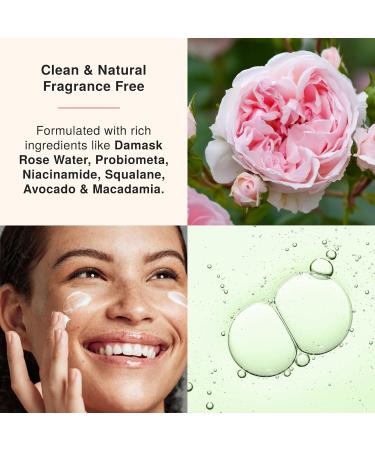 Ultra Hydrating Day Gel Cream with Niacinamide & Rose Water - Moisturizer to Hydrate Plump & Protect Skin | Strengthen Moisture Barrier - 2.02 Oz - Buy Online on GoSupps.com