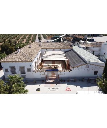 Aceitex Remember Extra Arbequina Green Limited Edition olive oil 500 ml - Buy Online on GoSupps.com