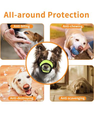 Yaodhaod Dog Muzzle - Breathable Rounded Mesh for Safe Eating & Chewing Prevention (M Green) - International Shipping - Buy Online on GoSupps.com