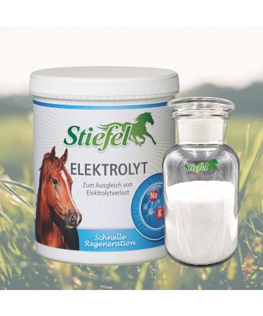 Stiefel Electrolyt 1 kg - Buy Online on GoSupps.com