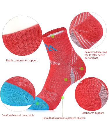 InnoTree 5 Pack Women's Cushioned Quarter Ankle Socks - Size M (Women's 6.5-10 US) - Ideal for Hiking, Walking, and Running - Buy Online on GoSupps.com