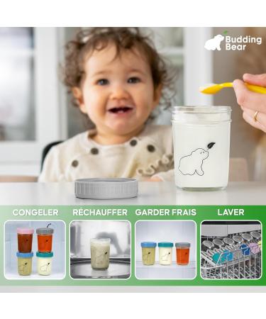 Budding Bear Small Glass Baby Storage Jar 240 ml (Pack of 6) - Reusable Baby Food Pot Dishwasher Freezer Microwave (No Lid - Buy Online on GoSupps.com