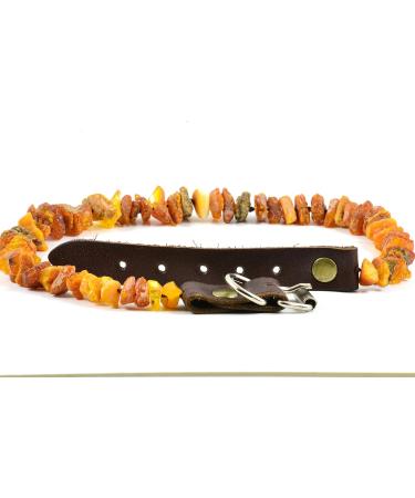 Elegant Baltic Amber Dog & Cat Necklace - Flea & Tick Protection Collar with Leather Clasp | Anti-Tick & Vermin Safety for Pets - Buy Online on GoSupps.com