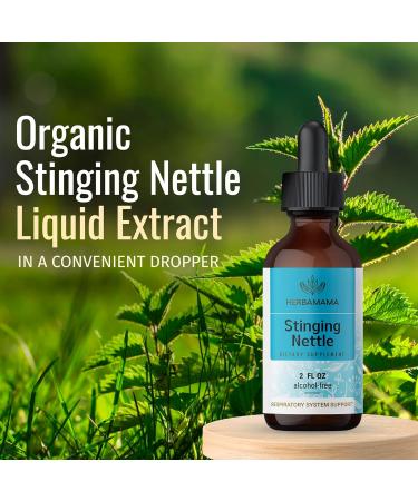 HERBAMAMA Organic Stinging Nettle Root Tincture - Urtica Dioica Herbal Drops - 2 fl oz Liquid Extract - Natural Supplement - Buy Online on GoSupps.com