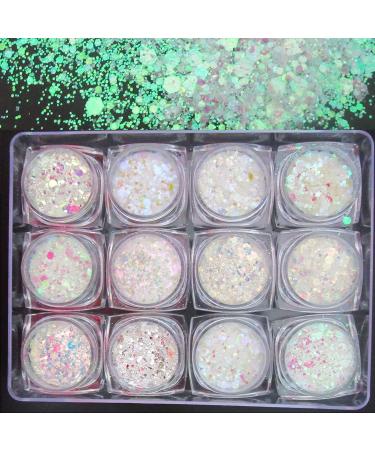 LoveOurHome 24 Box Iridescent Glitters Powder Pigment Nail Decorations for Resin Epoxy Crafts & Makeup - Chunky Flakes, Sequins & Hexagon Accessories for Festival, Body, Acrylic Nails Design - Buy Online on GoSupps.com