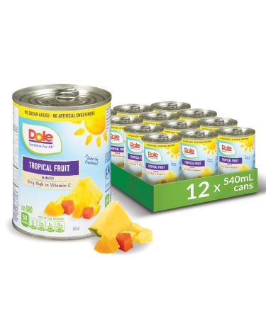 Dole Canned Fruit Tropical Fruit Salad in Water Non-GMO No Sugar Added & No Artificial Sweeteners 540 ml 12 Count Tropical Fruit Salad 540ml