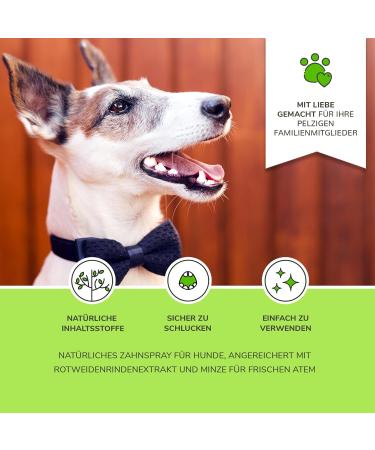 Moofurr Dental Spray for Dogs 100ml - Natural Mint Tooth & Tartar Remover - Optimal Dog Dental Care - Buy Online on GoSupps.com