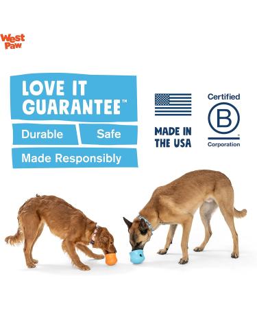 Zogoflex West Paw Toppl Toy - 8cm Aqua Blue - Durable Non-Toxic Perfect for Small Dogs - International Shipping Available - Buy Online on GoSupps.com