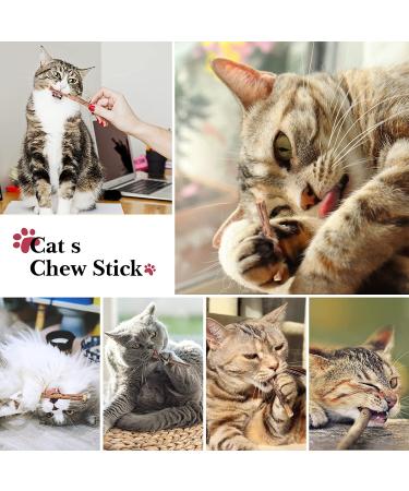 32 PCS Cat Toys Set - Interactive Variety Kitten Toys with Catnip, Feather Teaser, Crinkle Balls, and More - Buy Online on GoSupps.com