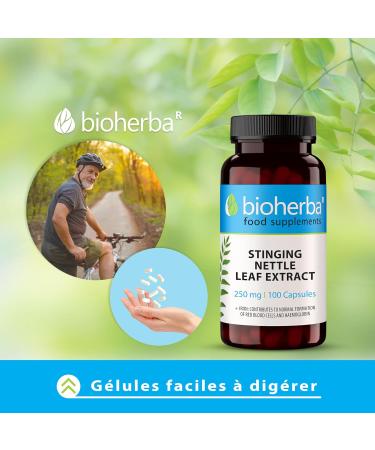 Nettle Extract with Iron - High Dosage - 100 Capsules of 250 mg - Food Supplement for Hair Prostate and Hydric Balance - Up to 1000 mg per Day BIOHERBA - Buy Online on GoSupps.com