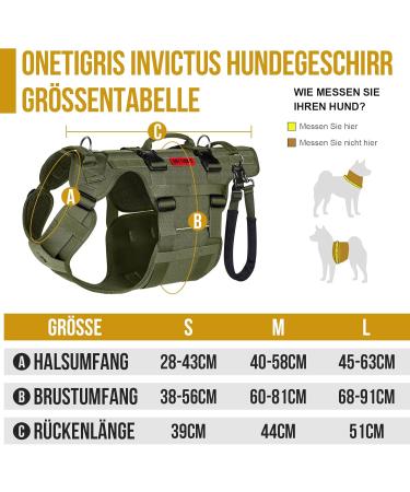 Buy Oneigris Dog Dishes - Invictus Support & Lifting Dishes for Medium & Large Dogs | Safety Dishes with 3 Handles & Adjustable Straps - M Green - Buy Online on GoSupps.com