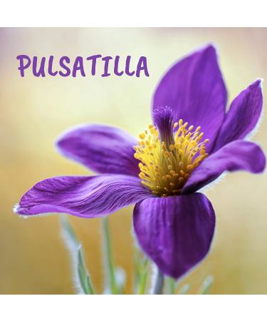 Pulsatilla 200ch Boiron Homeopathic Medicine 200CH 4 g (Pack of 1) - Buy Online on GoSupps.com