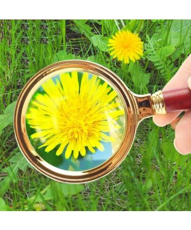 Portable Magnifier Hand-Held Disassembly 10 Times Hd Optical Lens for Elderly Reading Identification Maintenance ES for Reading Full of Stars - Buy Online on GoSupps.com