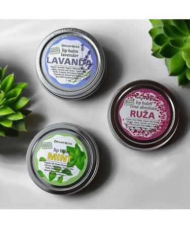 Organic Mint Lip Balm 1 oz Hydrating Mint Essence by OrganHerb - Buy Online on GoSupps.com