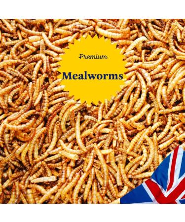 UK GROW 5L Premium Dried Mealworms - High-Quality 5 Litre Pack - Buy Online on GoSupps.com