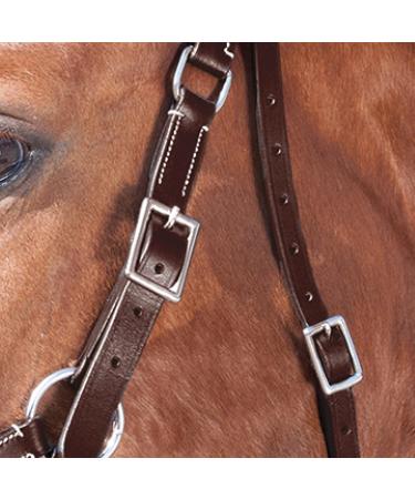 Shop WALDHAUSEN Star Bitless Bridle for Warmbloods Brown | International Shipping Available - Buy Online on GoSupps.com