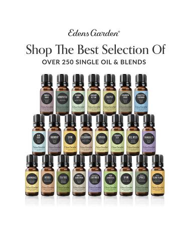 Edens Garden Bulgarian Lavender Essential Oil - 100% Pure Therapeutic Grade, 10ml (0.33 Fl Oz) - Buy Online on GoSupps.com