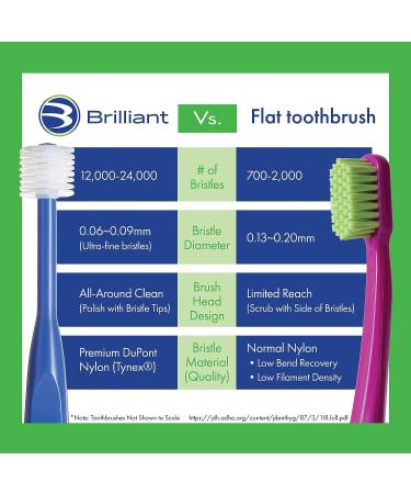 Child Toothbrush Ages 2-5, Soft Bristles, 3 Count Pack - Sky Blue-Lime-Lilac - Buy Online on GoSupps.com