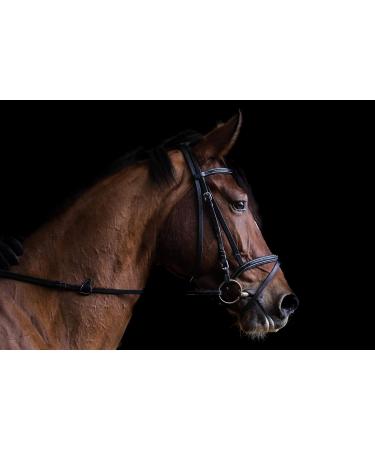 The Golden Paste Company TurmerItch Maintenance Horse Turmeric Supplement for a Healthy Skin and Coat 2kg - Buy Online on GoSupps.com