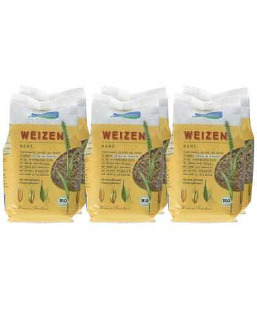 Whole Organic Wheat - 6 x 500g Pack | Premium Health Food Store - International Shipping - Buy Online on GoSupps.com
