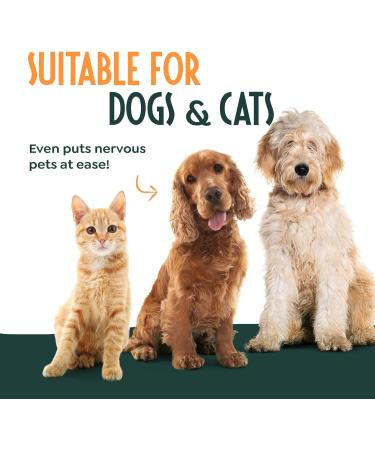 Cat Grooming Glove Dog Grooming Glove 2 Pack Velcro Cuff Pet Grooming Glove Hair & Fur Remover for Cats Brush Gloves Grooming Mitt Grooming Gloves for Short Medium Long Hair - Buy Online on GoSupps.com