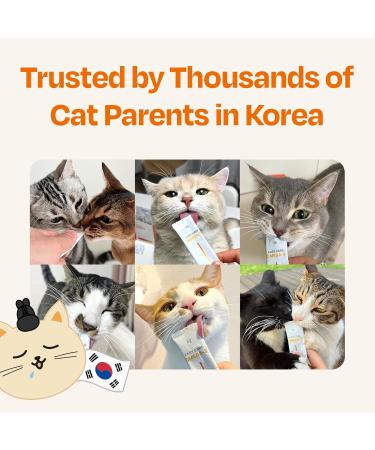 Chogong Easy Care Omega-3 - Lickable Cat Supplement Skin & Coat Health Support Salmon Flavor - Buy Online on GoSupps.com