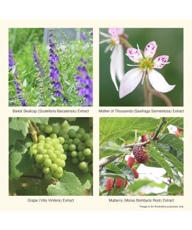 iroha Intimate Wash Foam - Citrus & Bergamot | pH Balanced Moisturizing Made in Japan | 60 Uses | 5 fl oz - Buy Online on GoSupps.com