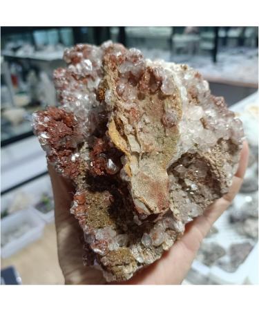 Crystal Cluster Natural Mushroom Calcite Quartz Crystal Specimen Ment Home Degaussing Decoration Gem Gift ningxiao (Size : 800-900g) - Buy Online on GoSupps.com