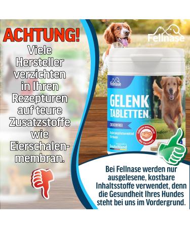 FELLNASE Joint Tablets for Dogs - Premium Food with Fully Transparent Recipe and Sugar Free - Premium Quality - Made in Germany - 100 Tablets - Buy Online on GoSupps.com