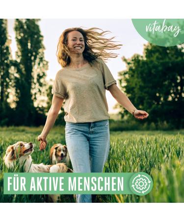 VITABAY High-Dosed MSM Capsules - 2000mg Daily Dose | 365 Vegan MSM Tablets for Joint Support | Premium Sulfur Supplement - Buy Online on GoSupps.com