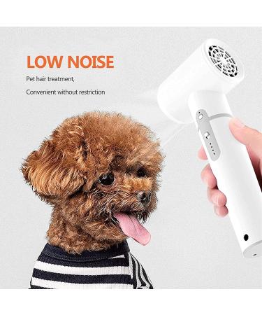 Cordless Hair Dryer with Nozzle Portable Travel Blow Dryers Hot/Cold Air Hairdryer Rechargeable Hair Dryers Gifts for Women/Mom - Buy Online on GoSupps.com