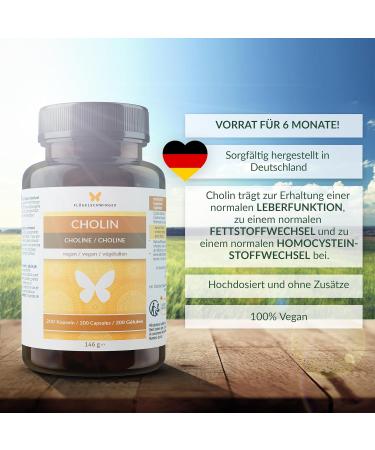 200 Vegan Choline Capsules for 6 Months Supports Fat Metabolism & Liver Function No Additives - Buy Online on GoSupps.com