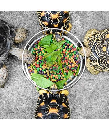 Stainless Steel Tortoise Feeder Food and Water Dish Feeding Bowl Turtle Food Dispenser(Big) - Buy Online on GoSupps.com
