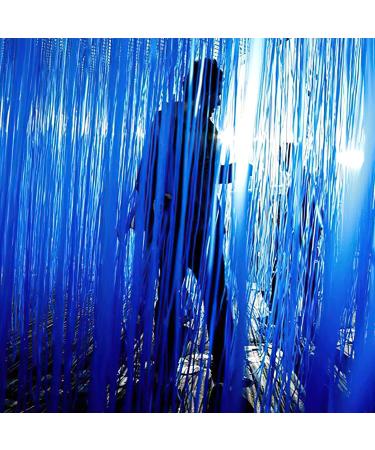 PartyWoo 2 pcs Royal Blue Foil Fringe Curtains for Birthday Wedding Party Decorations - Buy Online on GoSupps.com
