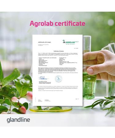 Sensilab Thyrolux 120 Capsules - Thyroid Support Supplement with Iodine, L-Tyrosine, Selenium, and Zinc for Optimal Health - Buy Online on GoSupps.com